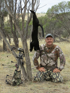 The Feral Cat - the tough nut to crack...