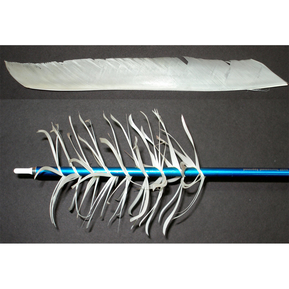 True flight Feathers Full Length - Left Wing 100pk