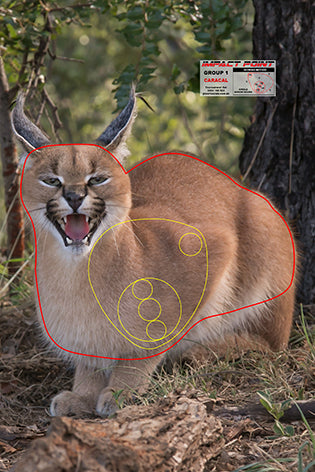 Group 1 Caracal 300x450mm - African Safari Tournement
