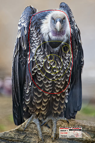 Group 1 Vulture 450x300 - African Safari Tournament Set