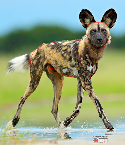 Group 2 African Wild Dog 600 x 700mm - African Safari Tournament Set
