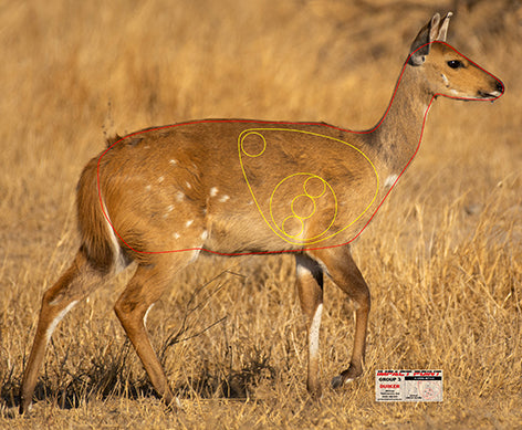 Group 3 Duiker 850x700mm - African Safari Tournament Set