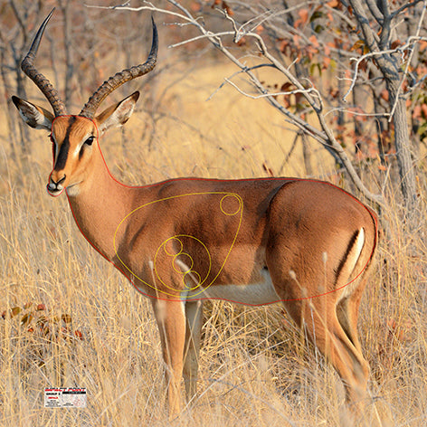 Group 3 Impala 1100x1100mm - African Safari Tournament Set