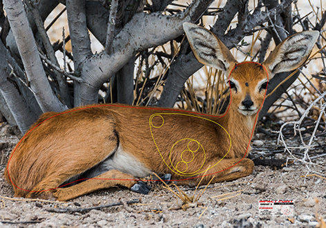 Group 3 Steenbok 1000x700mm - African Safari Tournament Set