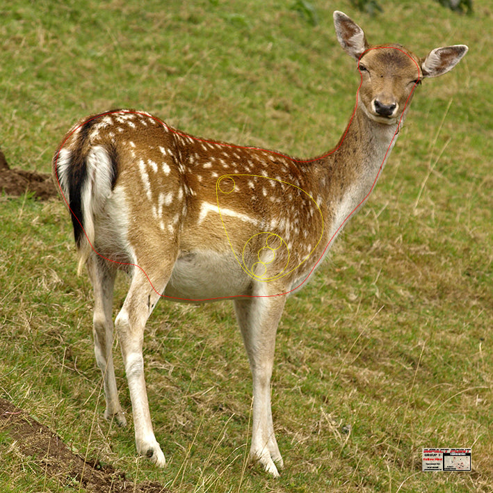 Group 3 Fallow Hind 1100x1100mm - Australian Feral Tournament Set