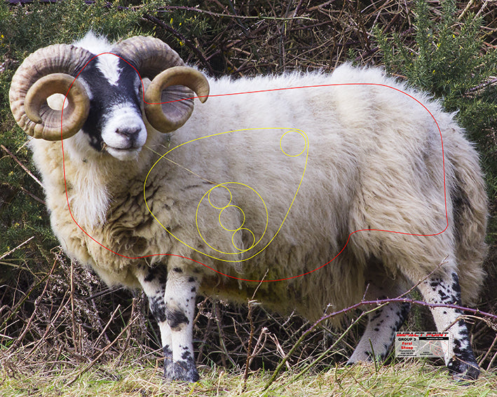 Group 3 Feral Sheep 2 1000x800mm - Australian Feral Tournament Set