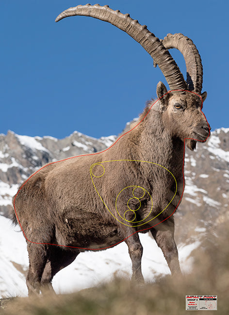Group 4 Capra Ibex 800x1100mm - African Safari Tournament Set