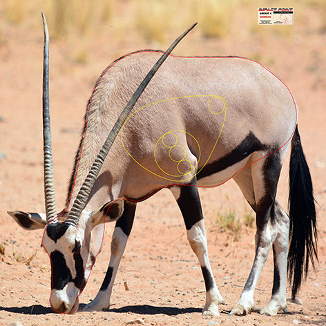 Group 4 Gembuck 1000x1000mm - African Safari Tournament Set