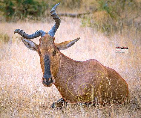 Group 4 Red Hartebeest 1200x1000mm - African Safari Tournament Set