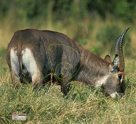 Group 4 Waterbuck 1100x1000mm - African Safari Tournament Set