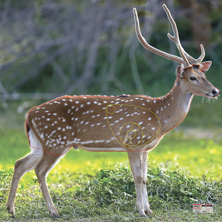 Group 4 Chital Deer 1200x1200mm - Australian Feral Tournament Set