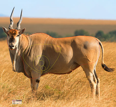 Group 5 Eland 1300x1200mm - African Safari Tournament Set