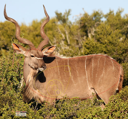 Group 5 Kudu 1300x1200mm - African Safari Tournament Set