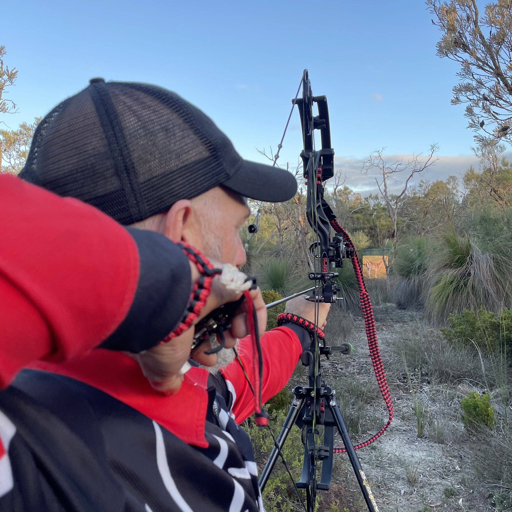 Practice Range Set – Impact Point Archery