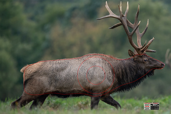 Group 4 Bull Elk 1200x800mm - North American Set