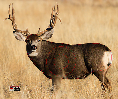 Group 5 Mule Deer 1200x1000mm - North American Set