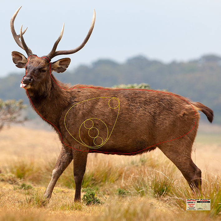 Group 3 Feral Sambar Deer 1000x1000mm - Australian Feral Tournament Set