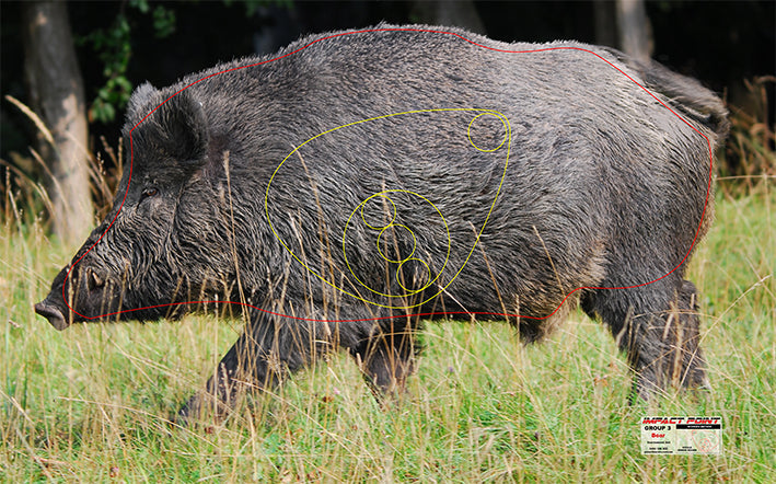 Group 3 Boar 1050x655mm - Australian Feral Tournament Set