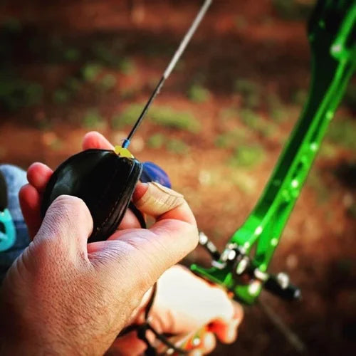 Spigarelli Tab Barebow Amico Cordovan