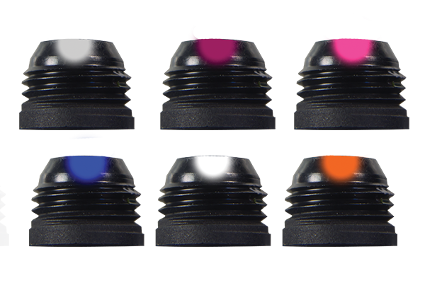 Large Verifier