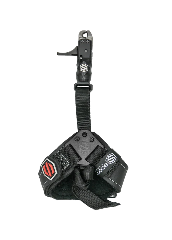 Scott Echo Buckle