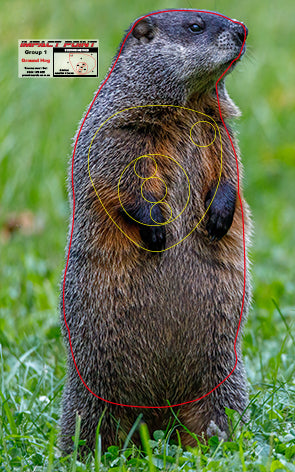 Group 1 Ground Hog 250x400mm - North American Tournament Set