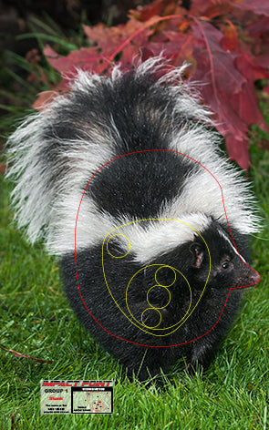 Group 1 Skunk 250x400mm - North American Tournament Set