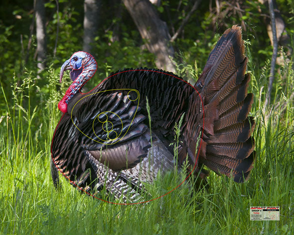 Group 4 Turkey 1200x800 - North American Tournament Set