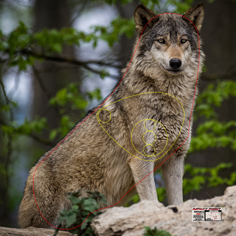 Group 4 Wolf 1200x800mm - North American Tournament Set