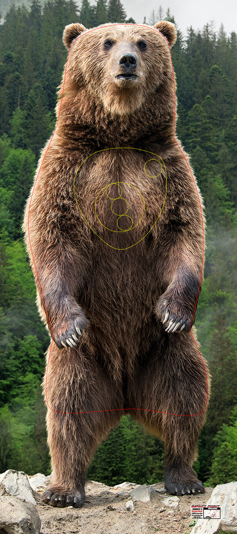 Group 5 - Brown Bear Target - North American Tournament Set