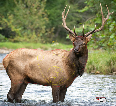 Group 5 Elk 1200x1100mm - North American Tournament Set