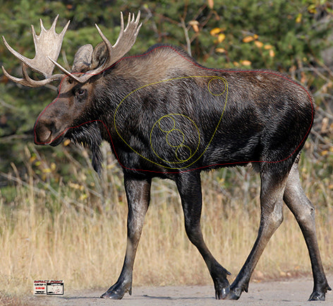 3 Point Moose Group 5 Moose 1200x1100mm - North American Tournament Set – Impact ...