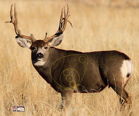 Group 5 Mule Deer 1200x1000mm - North American Tournament Set