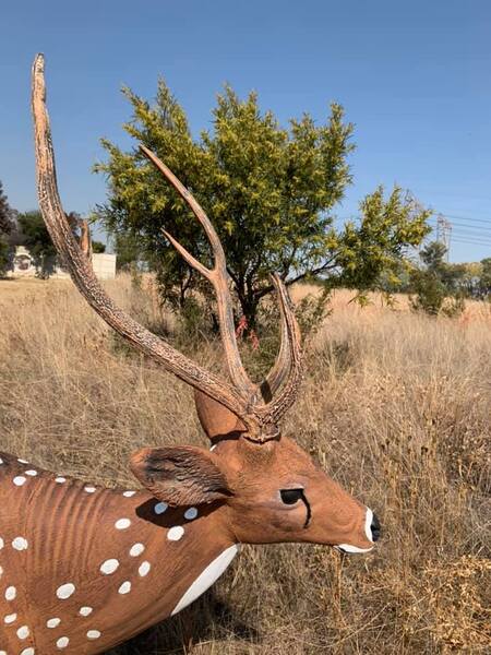 Wildcrete 3D Target -  Australian Chital Deer