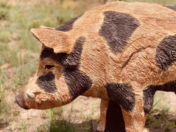 Wildcrete 3D Target - Feral Boar