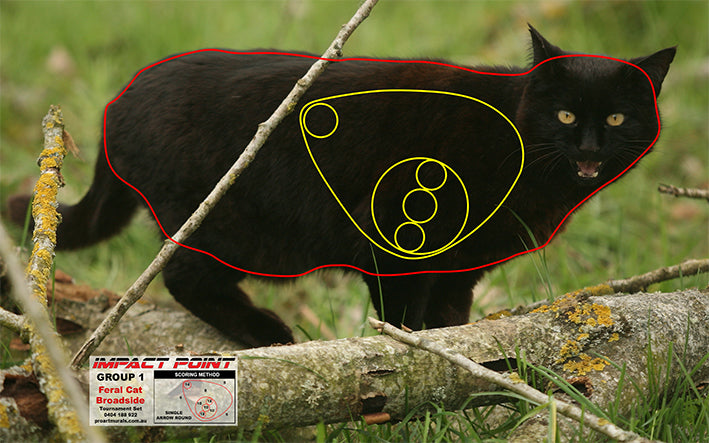 Group 1 - Feral Cat Broad Side Target - Tournament