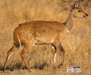 Group 3 Duiker 850x700mm - African Safari Set