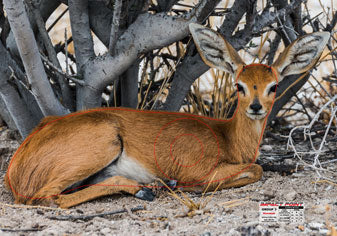 Group 3 Steenbok 1140x800mm - African Safari Set