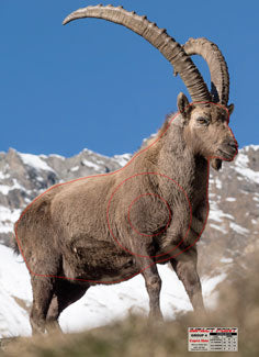 Group 4 Capra Ibex 800x1100mm - African Safari Set