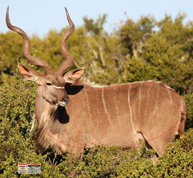 Group 5 Kudu 1300x1200mm - African Safari Set