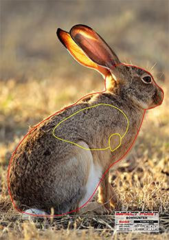 Bowhunters - Rabbit Target