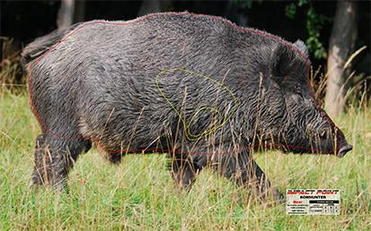 Bowhunters - Feral Pig Target
