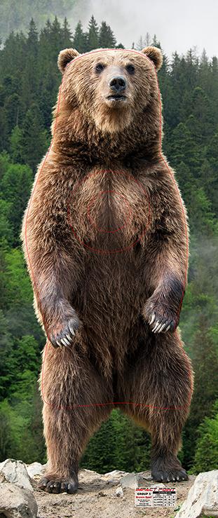 Group 5 - Brown Bear Target - North American Set 1